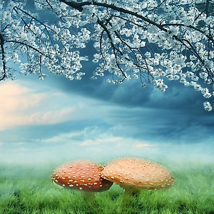 3D高清乌云密布樱花蘑菇背景墙