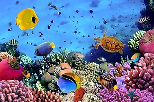 海底世界3D立体背景墙