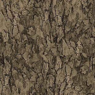 树皮木纹贴图素材