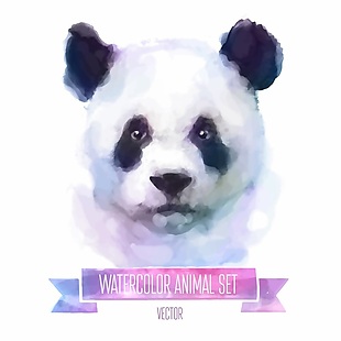 熊猫水彩动物卡通肖像