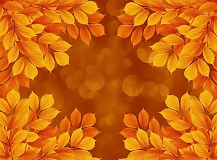 金黄色枫叶装饰画效果图