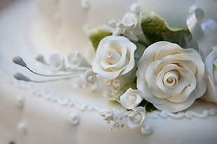 白玫瑰装饰画效果图