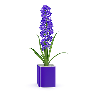 紫色花模型素材