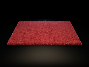 红色地毯模型