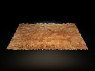 地毯模型