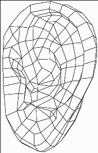 人体耳朵设计图模型素材