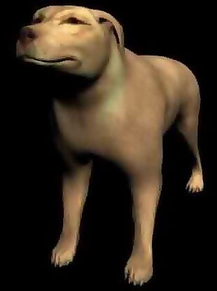 小黄狗3D模型