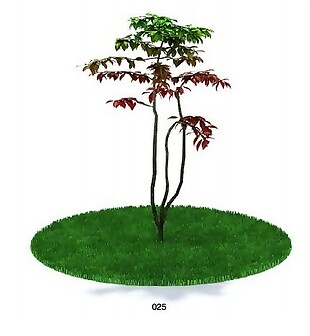 植物造型模型