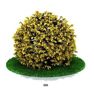 金黄灌木模型