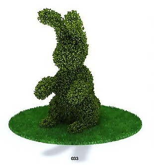 兔子绿化植物