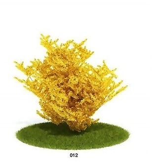 金黄树模型