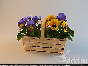 绿植小花basket