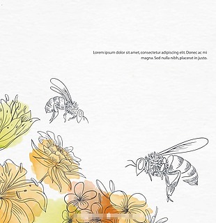 手绘淡彩蜂蜜和花朵插画
