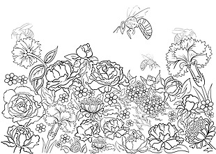 黑白手绘植物花朵图案