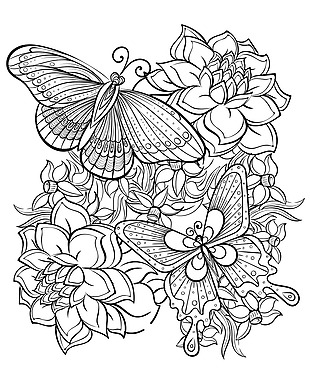 黑白时尚花朵和蝴蝶插画