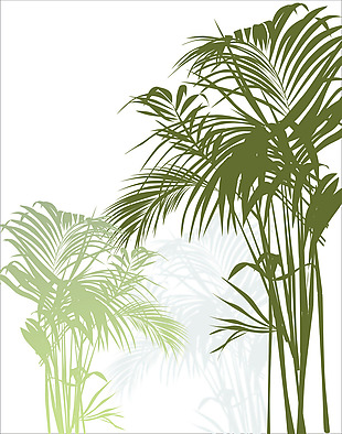 热带丛林植物插图矢量