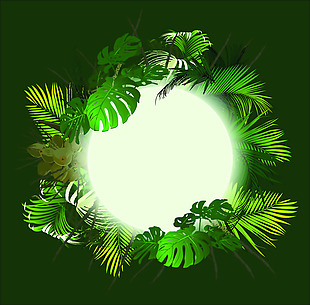 热带植物插图矢量