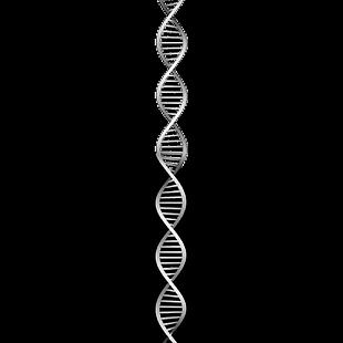 螺旋DNA动态视频素材