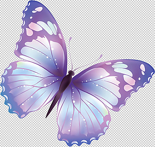 漂亮蝴蝶图免抠png透明图层素材