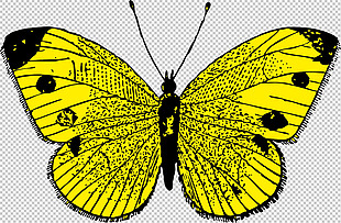 漂亮黄色蝴蝶免抠png透明图层素材