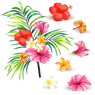 手绘彩铅植物花卉花朵素材