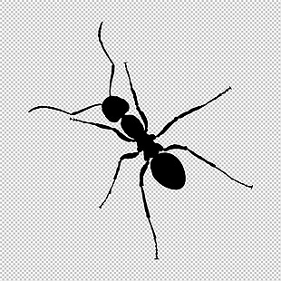 黑色蚂蚁免抠png透明图层素材