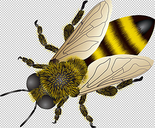 可爱蜜蜂免抠png透明图层素材