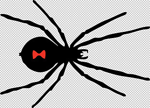 创意黑蜘蛛免抠png透明图层素材