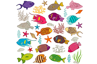 海洋生物卡通鱼插画