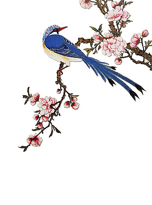 彩绘花枝小鸟图案元素