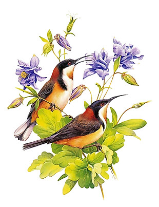 复古彩绘花鸟系列元素