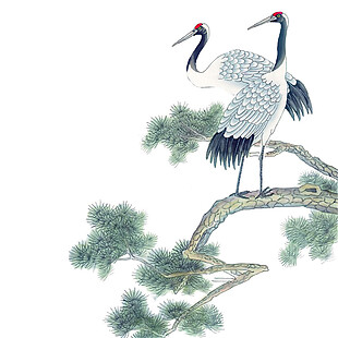 水彩松枝上的白鹤图案