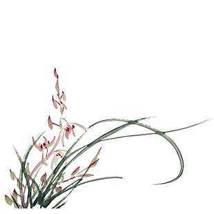 水彩兰花图案元素