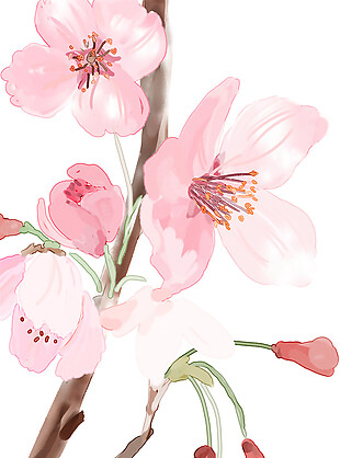粉色彩结桃花图案元素