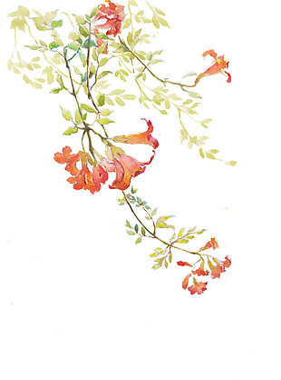 彩绘古风花朵图案元素