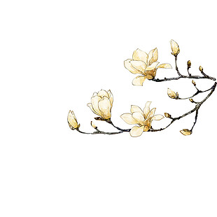 彩绘白玉兰花枝图案元素