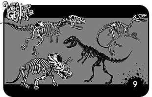 矢量素材恐龙骨架