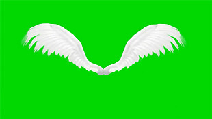 飞翔的白色翅膀动态Mov视频素材下载