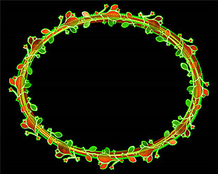 绿叶环绕的椭圆动态边框mov视频素材下载