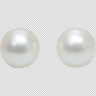 海螺珍珠免抠png透明图层素材