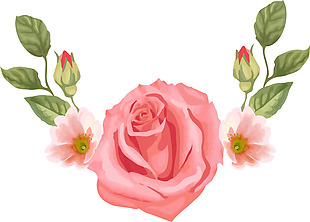 手绘玫瑰花朵元素