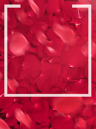 浪漫唯美红色花瓣和背景素材