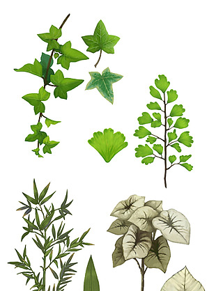 手绘绿色植物图案