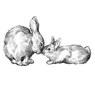 浪漫可爱兔子插图背景