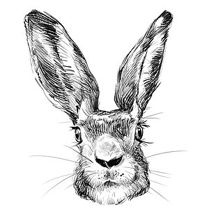 印花手绘兔子插图背景