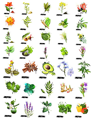 手绘花朵蔬菜图案