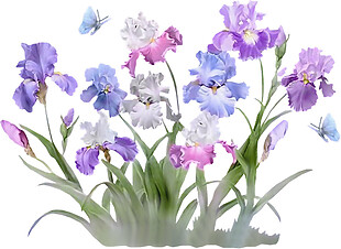 手绘紫色鲜花素材图片