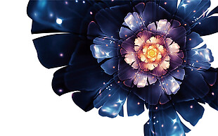 黑色花朵素材图片