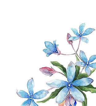 手绘唯美蓝色花朵背景图片