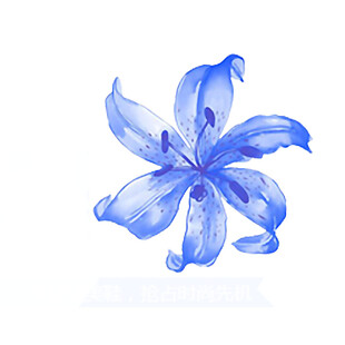 盛开的蓝色花朵素材图片